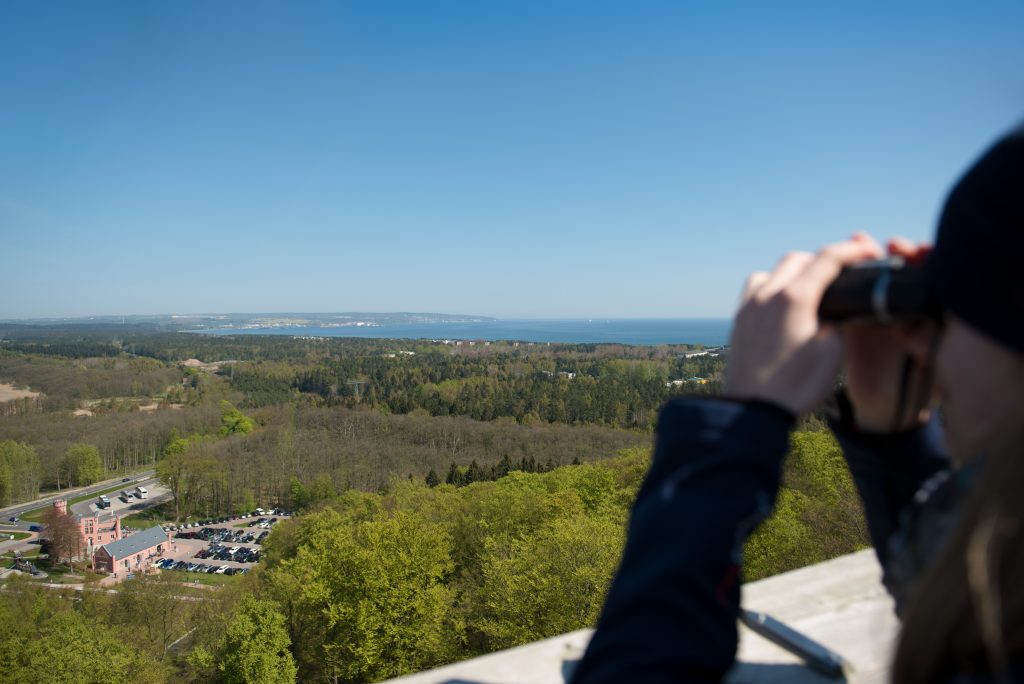 Aussicht vom Turm auf Rügen